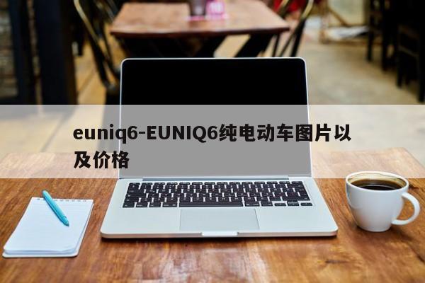 euniq6-EUNIQ6纯电动车图片以及价格