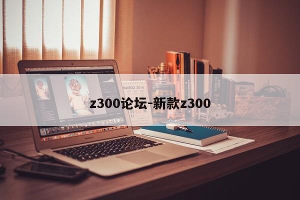z300论坛-新款z300