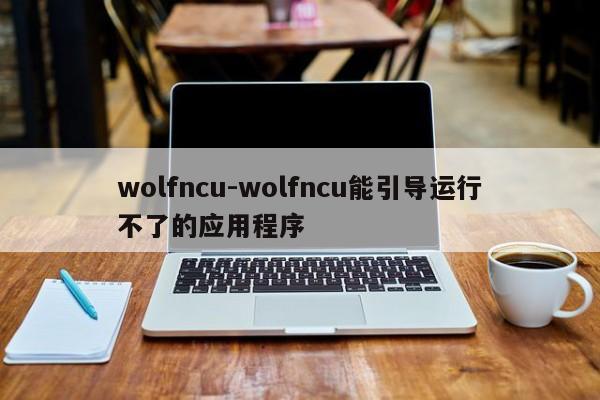 wolfncu-wolfncu能引导运行不了的应用程序