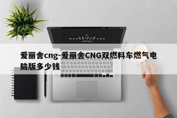 爱丽舍cng-爱丽舍CNG双燃料车燃气电脑版多少钱