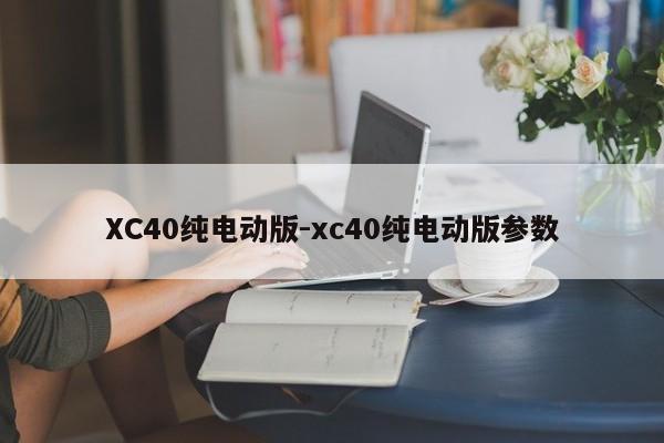 XC40纯电动版-xc40纯电动版参数